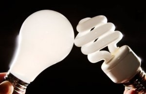 Incandescent and cfl light bulbs
